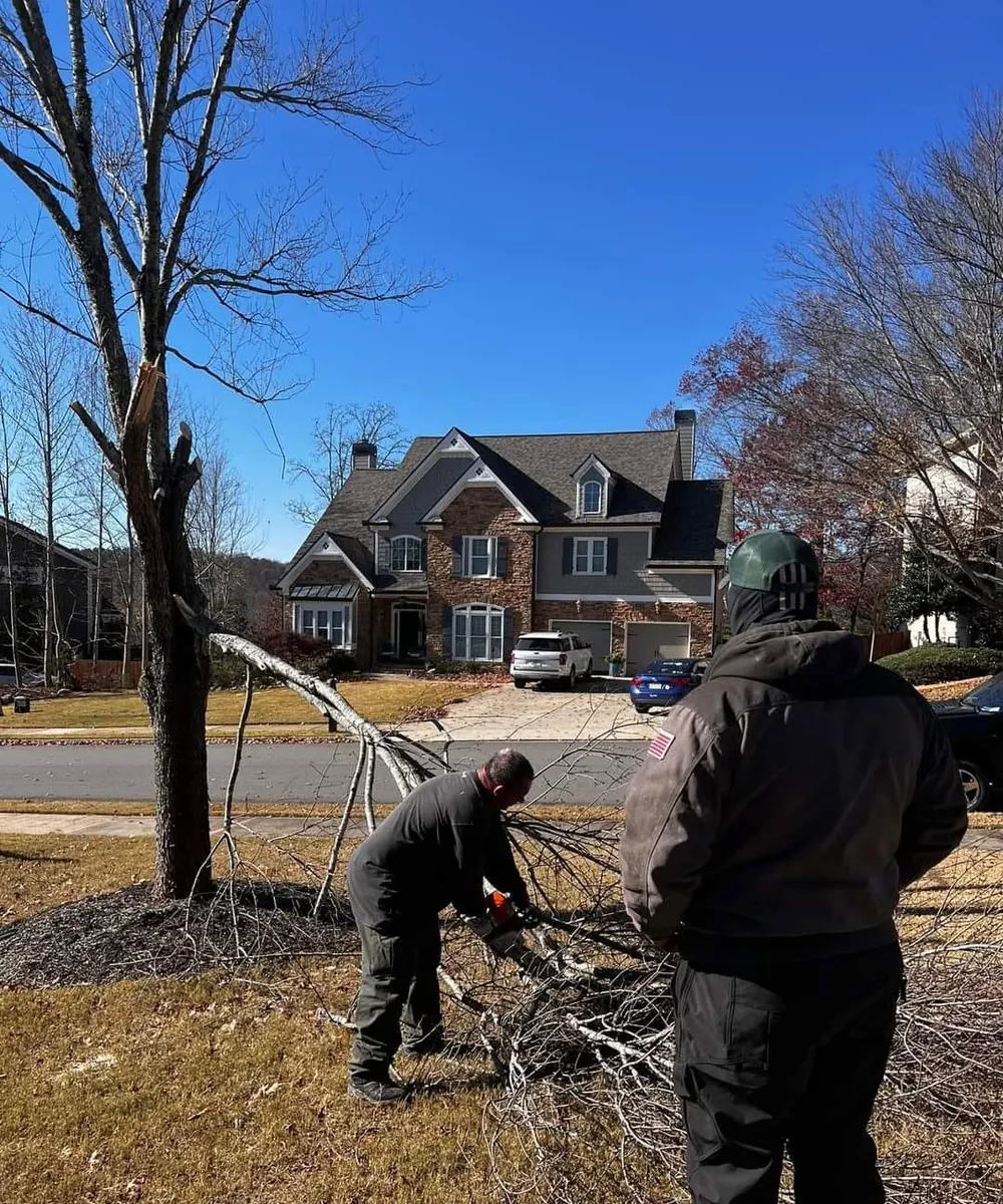 Two-man crew cutting up a felled tree in a front yard